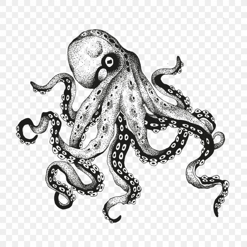 Octopus Mount Edgcumbe House Illustration Industry Poster, PNG, 2480x2480px, Octopus, Body Jewelry, Cephalopod, Colored Pencil, Industry Download Free