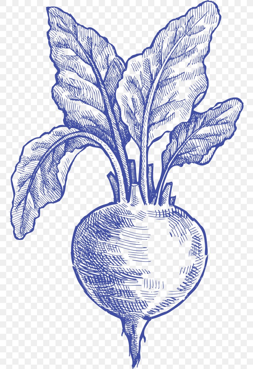 Vegetable Drawing /m/02csf Flowering Plant, PNG, 761x1194px, Vegetable, Black And White, Drawing, Flora, Flower Download Free