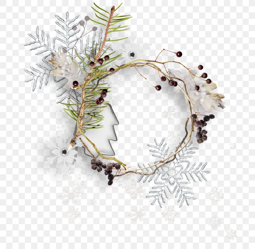 Christmas Decoration, PNG, 709x800px, Branch, American Larch, Christmas Decoration, Colorado Spruce, Fir Download Free