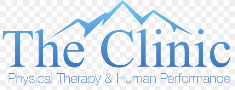 Logo Physical Therapy Organization Brand Font, PNG, 1024x393px, Logo, Area, Blue, Brand, Clinic Download Free