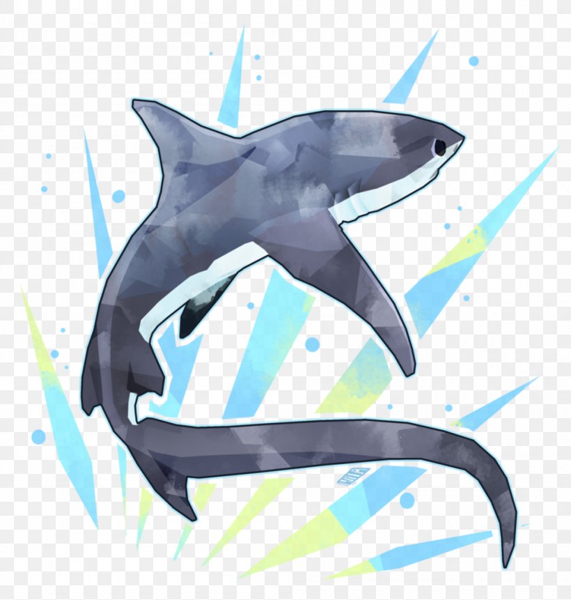 Tiger Shark Pelagic Thresher Common Thresher Drawing, PNG, 1000x1051px, Shark, Art, Automotive Design, Cartilaginous Fish, Color Download Free