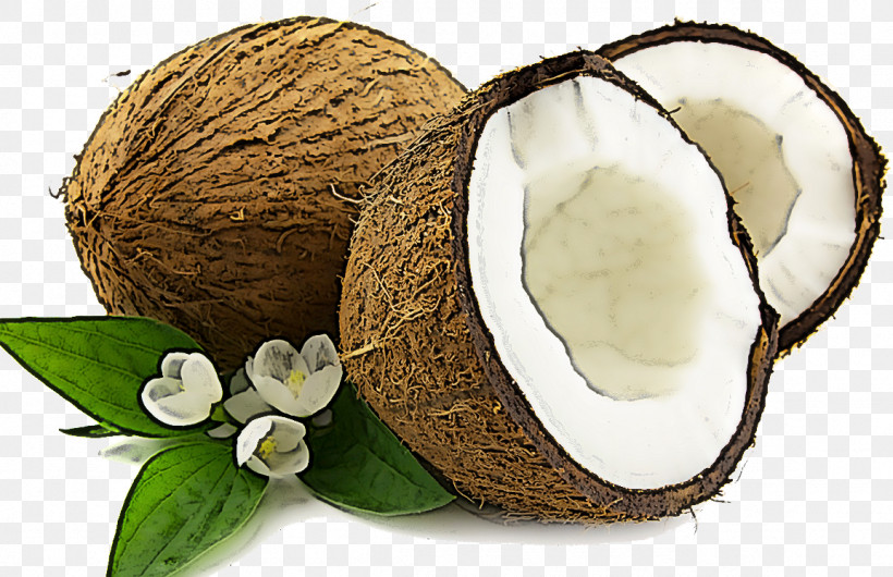 Coconut, PNG, 1154x747px, Coconut, Coconut Water, Plant Download Free