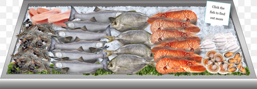Fish Products Meat Frozen Food, PNG, 875x305px, Fish Products, Animal Source Foods, Cuisine, Fish, Food Download Free