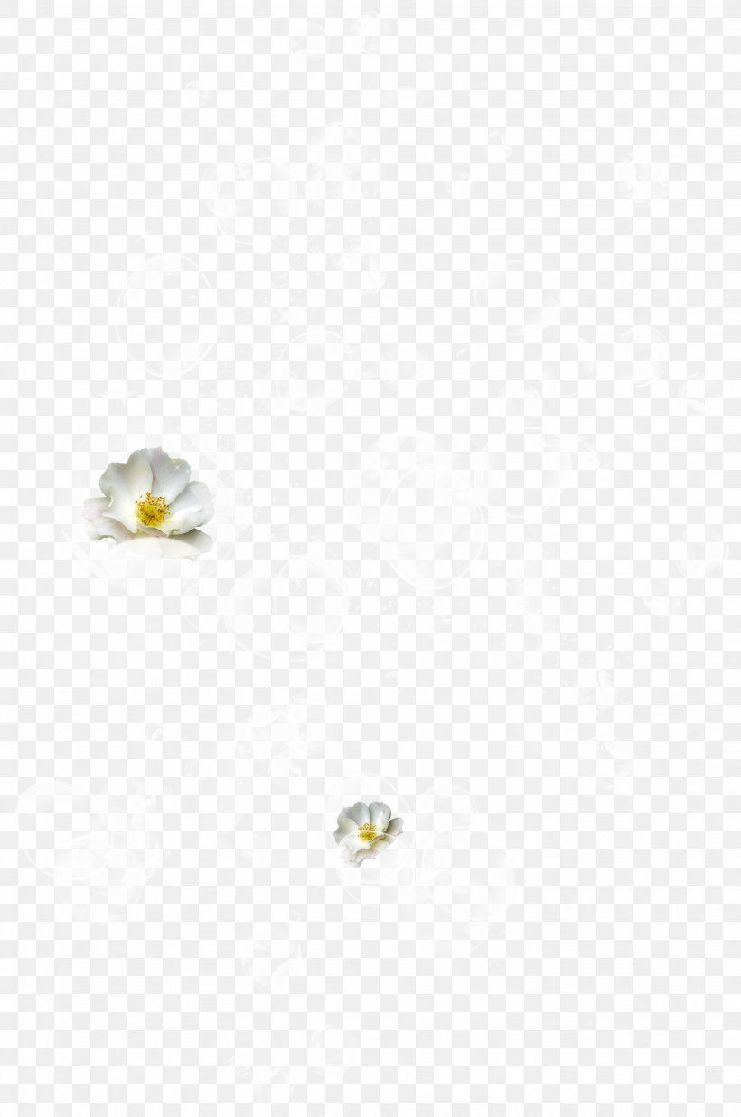 Image Earring White Yellow, PNG, 2253x3398px, Earring, Body Jewellery, Body Jewelry, Designer, Earrings Download Free