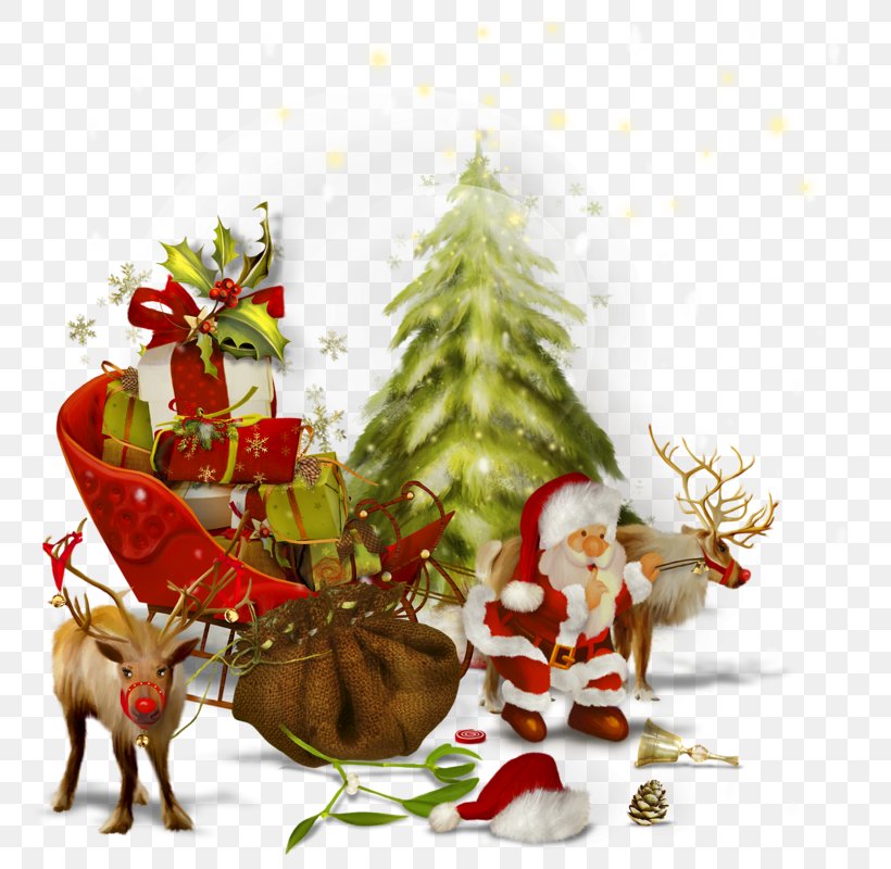 Santa Claus Christmas Tree Saint Nicholas Day Gift, PNG, 800x800px, Santa Claus, Advent, Christmas, Christmas And Holiday Season, Christmas Decoration Download Free