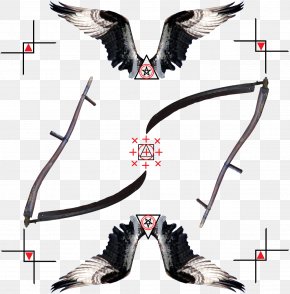 Bird - Wing Bird Flight Osprey Neck PNG