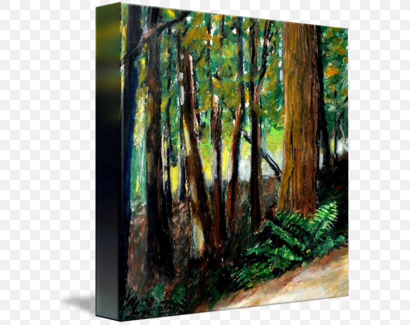 Woodland Painting Trail Canvas Print Drawing, PNG, 591x650px, Woodland, Acrylic Paint, Art, Biome, Canvas Download Free