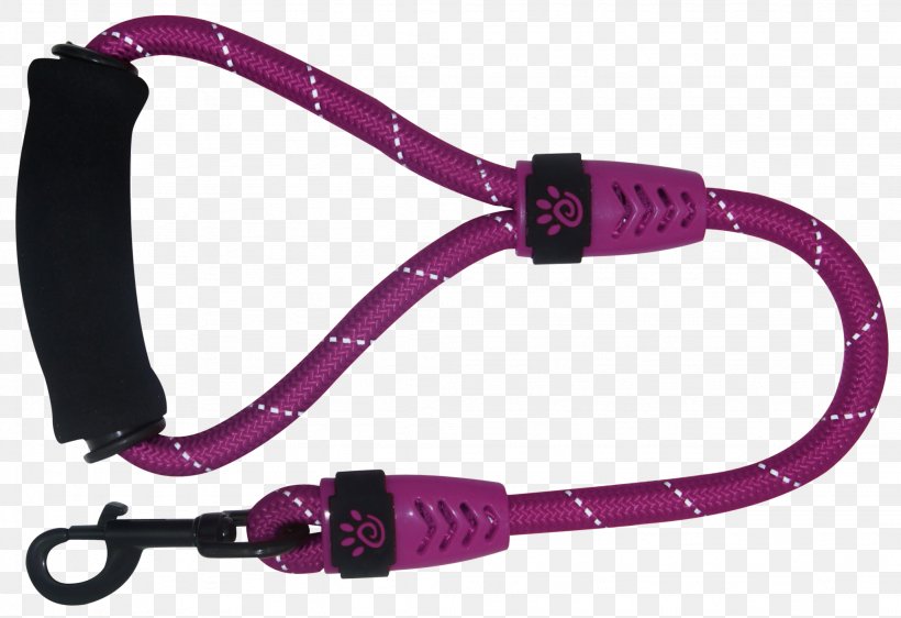 Leash Dog Collar Cat, PNG, 2048x1406px, Leash, Bungee Cords, Cat, Collar, Dog Download Free