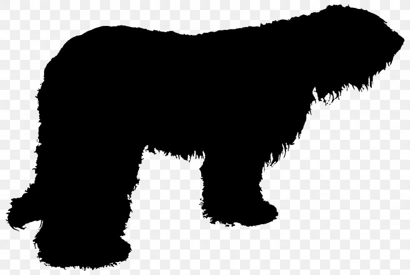 Miniature Schnauzer Affenpinscher Newfoundland Dog Puppy Dog Breed, PNG, 1135x763px, Miniature Schnauzer, Affenpinscher, Bear, Black, Black And White Download Free