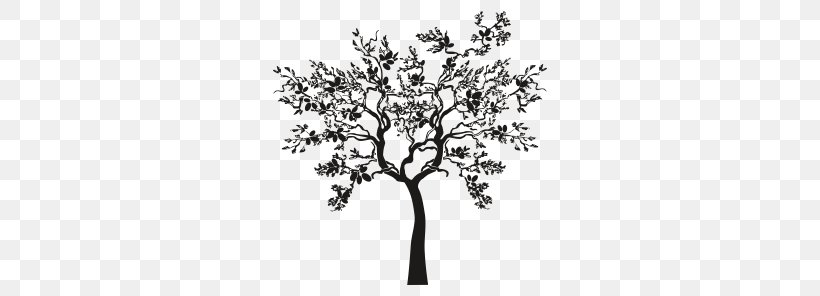Olive Branch Tree Drawing, PNG, 442x296px, Olive, Black And White, Branch, Creative Market, Drawing Download Free
