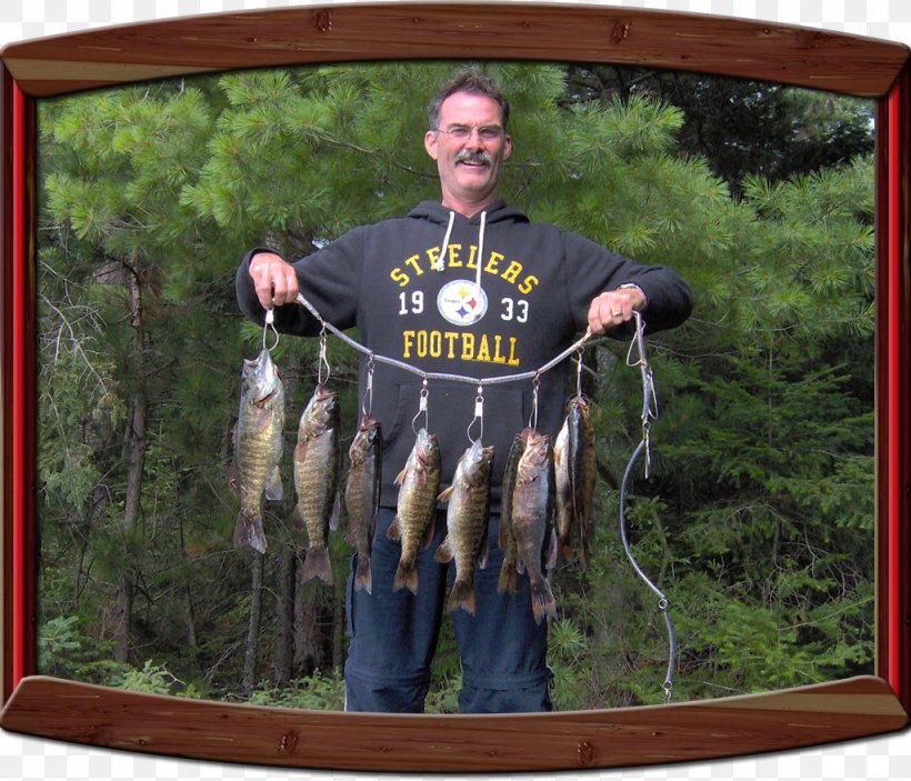 Red Cedar Lake Smallmouth Bass Marten River, Ontario Largemouth Bass, PNG, 1024x879px, Red Cedar Lake, Bass, Bass Fishing, Cedar Lake, Fishing Download Free