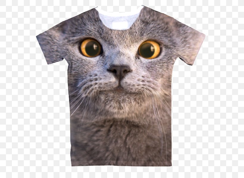 T-shirt YouTube Aaron's, Inc. Cat Musician, PNG, 600x600px, Watercolor, Cartoon, Flower, Frame, Heart Download Free