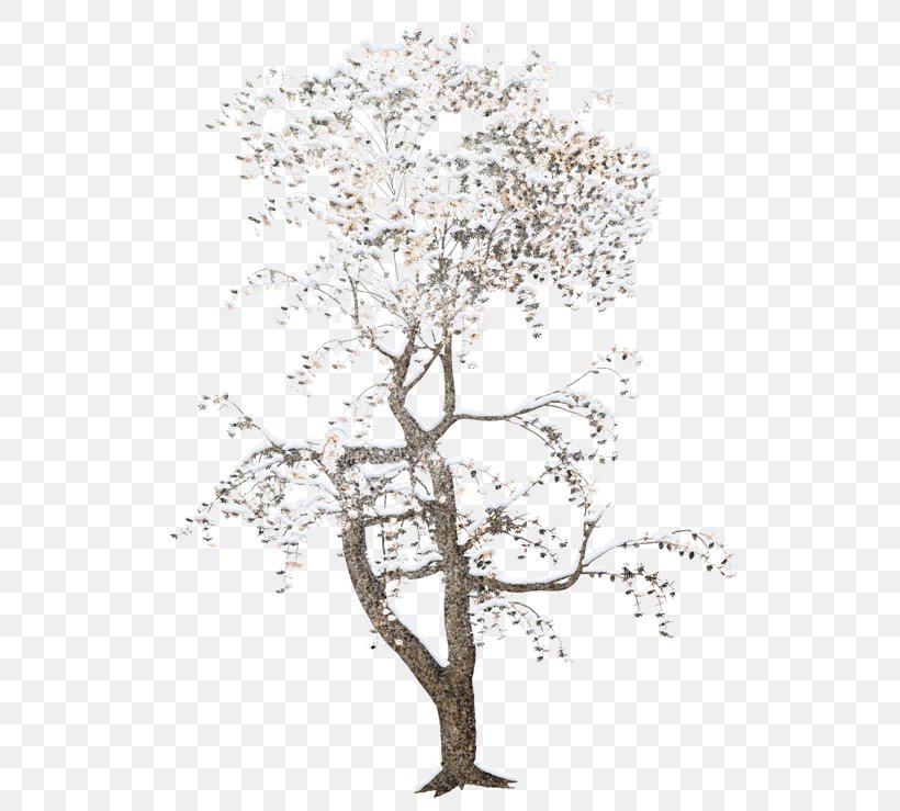 Tree Rendering, PNG, 600x739px, Tree, Architectural Rendering, Blossom, Branch, Clipping Path Download Free