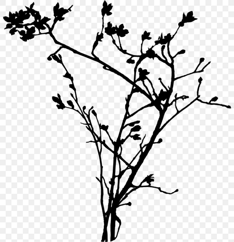 Twig Clip Art Flower Plant Stem Leaf, PNG, 800x849px, Twig, Blackandwhite, Botany, Branch, Flower Download Free