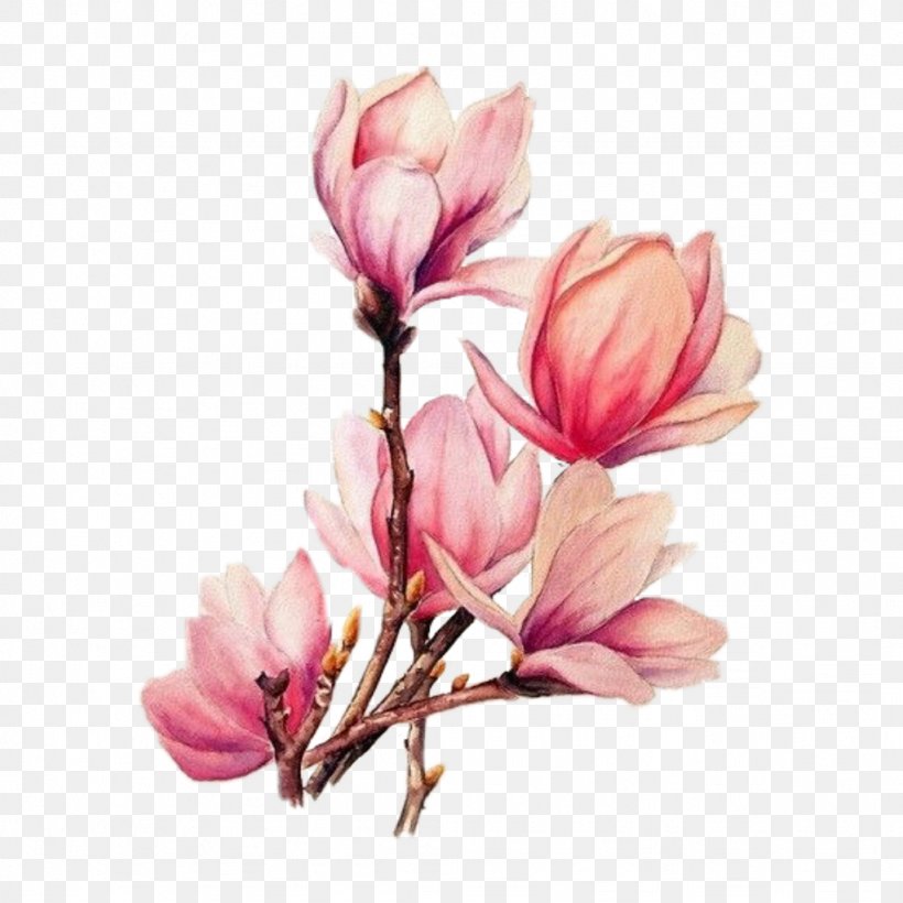 Watercolor Painting Drawing Tattoo Watercolour Flowers, PNG, 1024x1024px, Watercolor Painting, Art, Art Museum, Blossom, Branch Download Free