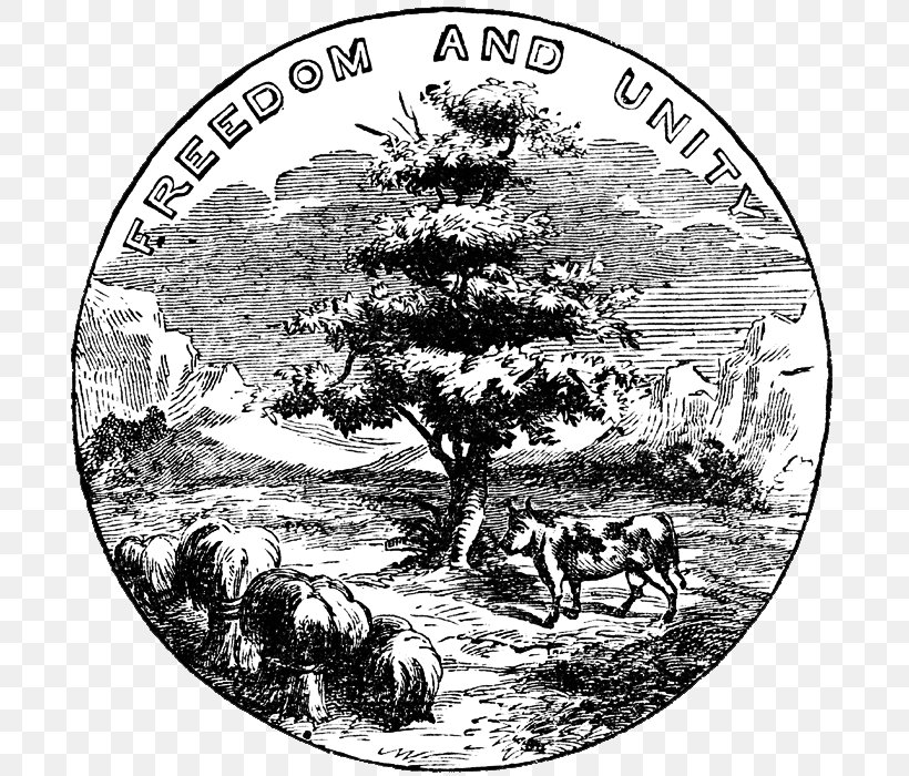 American Civil War Seal Of Washington Illinois 1st United States Sharpshooters, PNG, 698x700px, American Civil War, American Civil War Reenactment, Black And White, Fauna, Flowering Plant Download Free