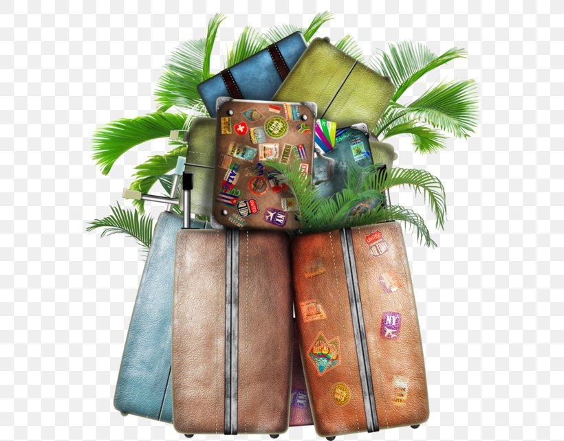 Baggage Travel Suitcase Hotel, PNG, 600x642px, Baggage, Accommodation, Bag, Gift, Guidebook Download Free