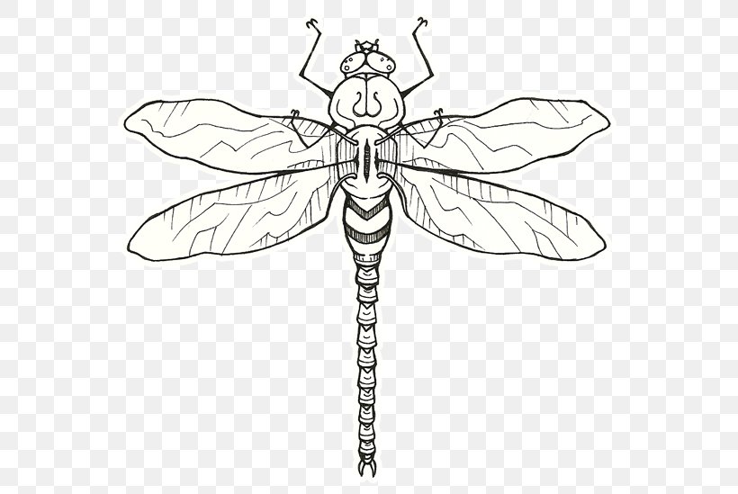 Insect Pollinator Line Art Clip Art, PNG, 572x549px, Insect, Arthropod, Artwork, Black And White, Fly Download Free