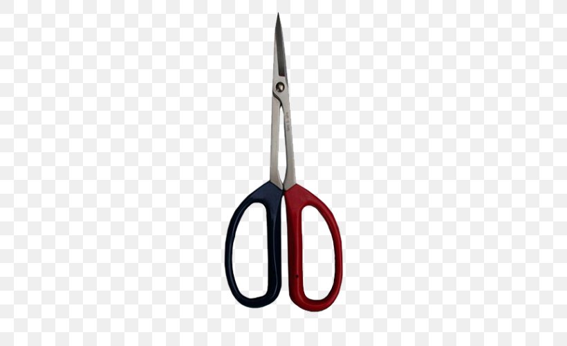 Scissors Hair-cutting Shears Tool Florida, PNG, 500x500px, Scissors, Email, Fivethirtyeight, Florida, Hair Download Free