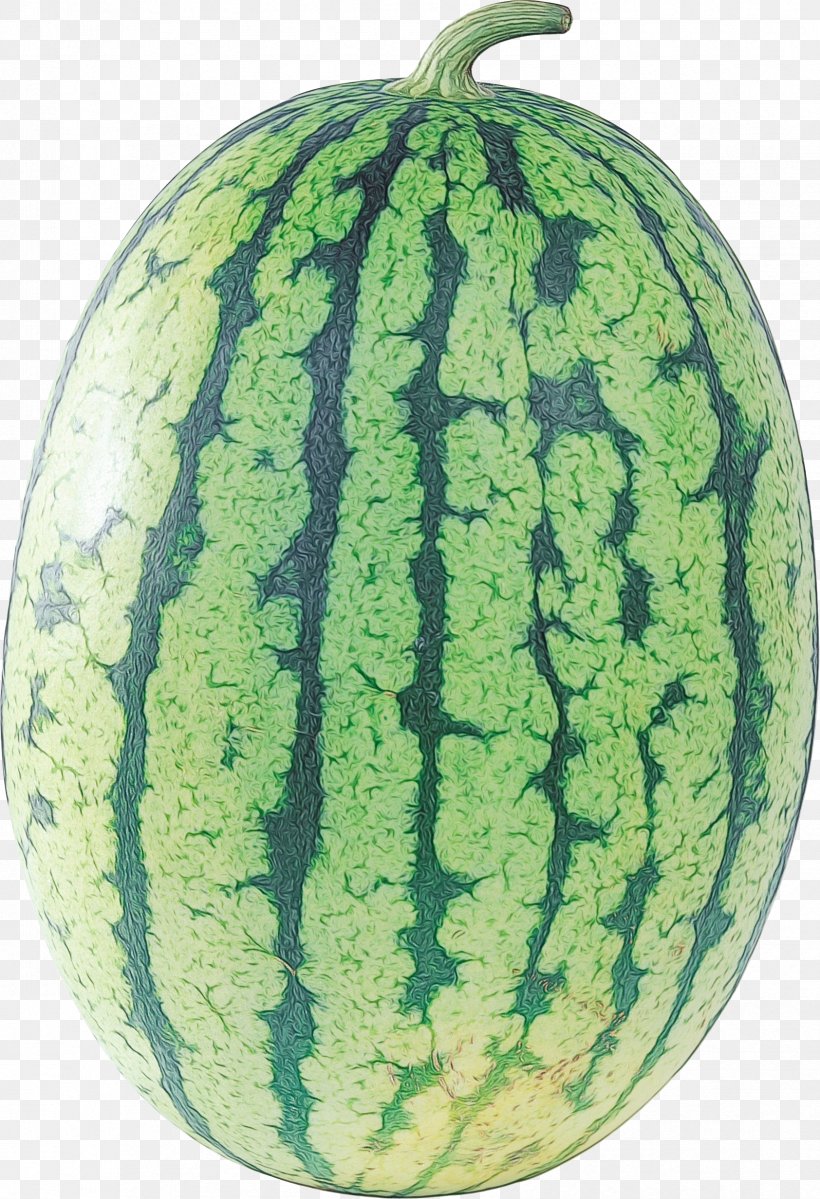 Watermelon Cartoon, PNG, 1684x2464px, Muskmelon, Citrullus, Citrullus Lanatus, Citrullus Lanatus Var Lanatus, Clausena Lansium Download Free