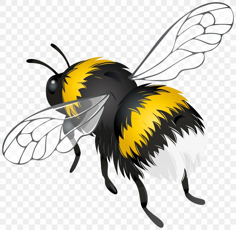 Bee Insect Flight Clip Art, PNG, 6000x5848px, Bee, Arthropod, Dots Per Inch, Flight, Fly Download Free