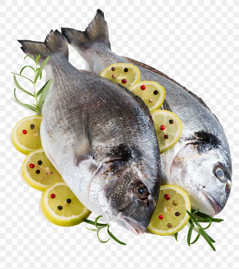 Fish Gilt-head Bream Lemon Porgies Ingredient, PNG, 909x1024px, Fish, Animal Source Foods, Bass, Black Pepper, Bream Download Free