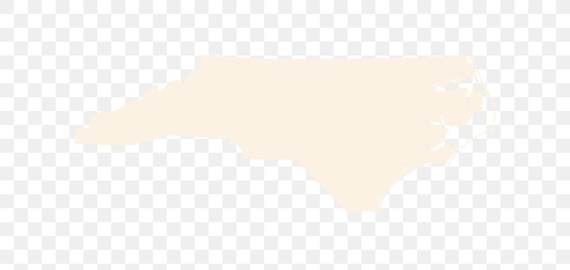 Flag Of North Carolina Douchegordijn Curtain Shower, PNG, 800x389px, North Carolina, Beige, Blanket, Curtain, Douchegordijn Download Free