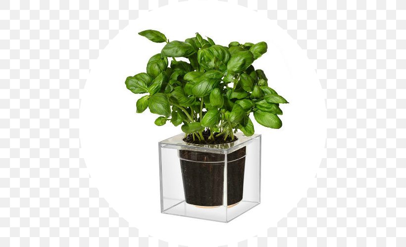 Flowerpot Cube Garden Watering Cans Container, PNG, 500x500px, Flowerpot, African Violets, Basil, Container, Cube Download Free