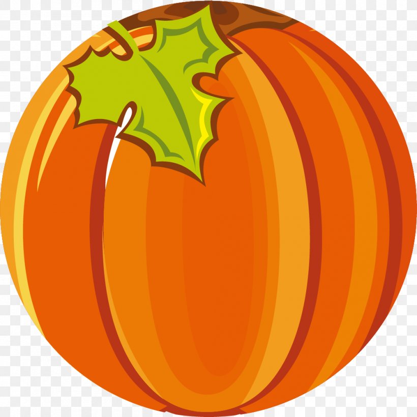 Pumpkin Vegetable Image Cartoon, PNG, 1001x1002px, Pumpkin, Calabaza, Cartoon, Cucurbita, Drawing Download Free