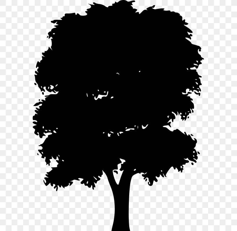 Silhouette Tree Clip Art, PNG, 593x800px, Silhouette, Black, Black And White, Branch, Flower Download Free
