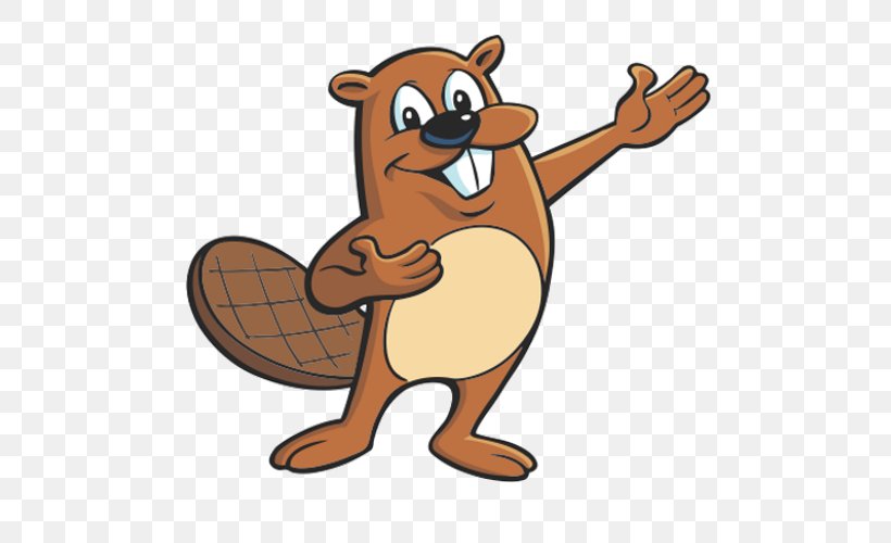 Beaver Cartoon Drawing Clip Art, PNG, 500x500px, Beaver, Angry Beavers, Animation, Beak, Black And White Download Free