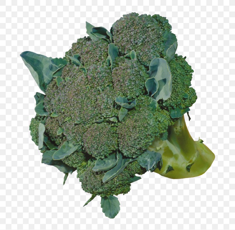 Broccoli Cauliflower Vegetable Food, PNG, 760x801px, Broccoli, Brassica Oleracea, Cauliflower, Collard Greens, Eating Download Free
