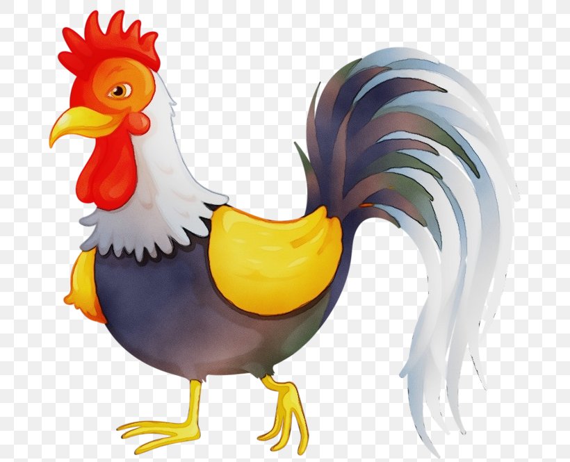 Chicken Rooster Photography Image, PNG, 699x665px, Chicken, Animal Figure, Beak, Bird, Cartoon Download Free