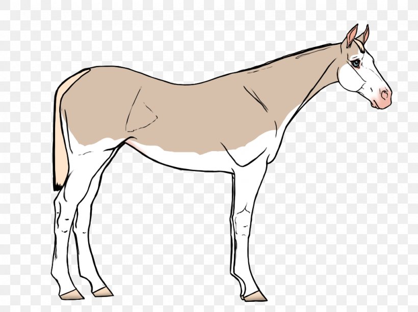 Mule Foal Stallion Colt Mare, PNG, 1024x766px, Mule, Animal Figure, Arm, Bridle, Colt Download Free