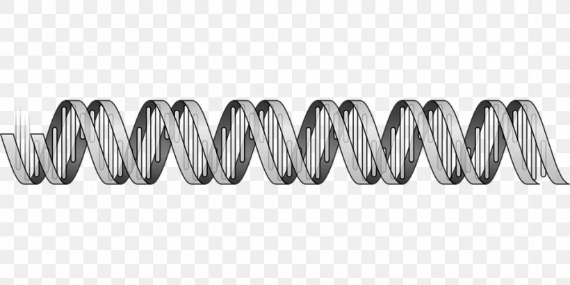 Nucleic Acid Double Helix DNA Nucleic Acid Sequence Biology, PNG, 960x480px, Nucleic Acid Double Helix, Biology, Black And White, Body Jewelry, Cell Download Free