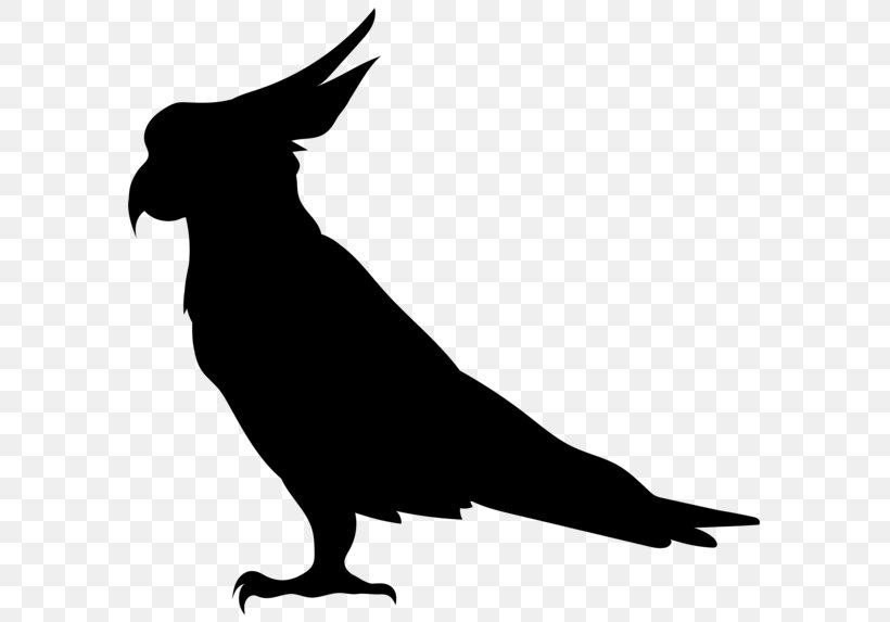 Silhouette Clip Art, PNG, 600x573px, Silhouette, Beak, Bird, Black And White, Cockatoo Download Free