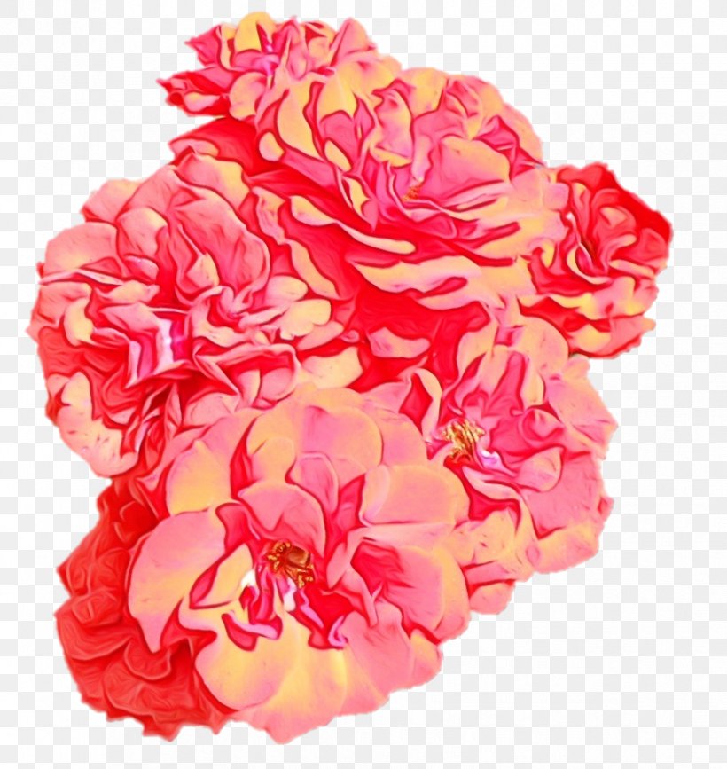 Garden Roses Cabbage Rose Floribunda Cut Flowers, PNG, 853x902px, Garden Roses, Artificial Flower, Begonia, Cabbage Rose, Carnation Download Free