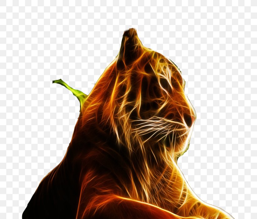 Tiger Felidae High-definition Television Display Resolution Wallpaper, PNG, 700x700px, 4k Resolution, Tiger, Aspect Ratio, Big Cats, Carnivoran Download Free
