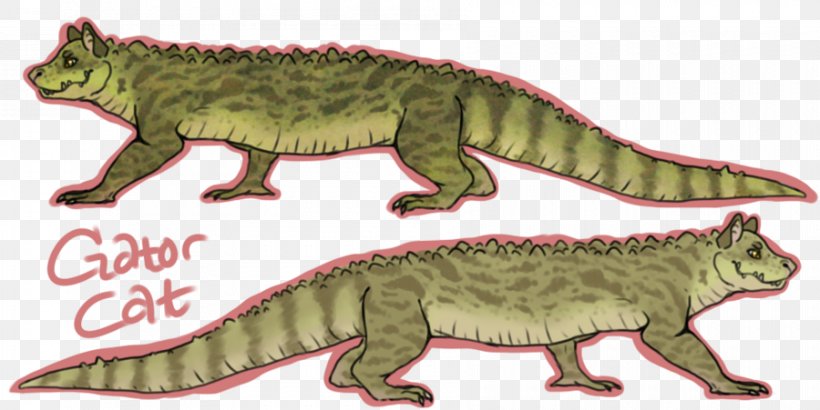 Alligators Crocodile Cat Kitten Common Iguanas, PNG, 900x451px, Alligators, Amphibian, Anatomy, Animal, Animal Figure Download Free