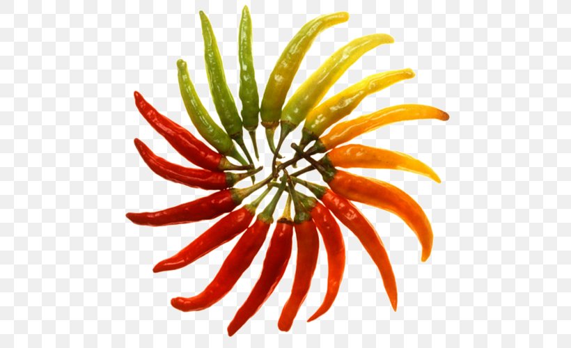 Bell Pepper Chili Pepper Chili Con Carne Serrano Pepper Pequin Pepper, PNG, 500x500px, Bell Pepper, Bell Peppers And Chili Peppers, Capsicum Annuum, Capsicum Chinense, Cayenne Pepper Download Free