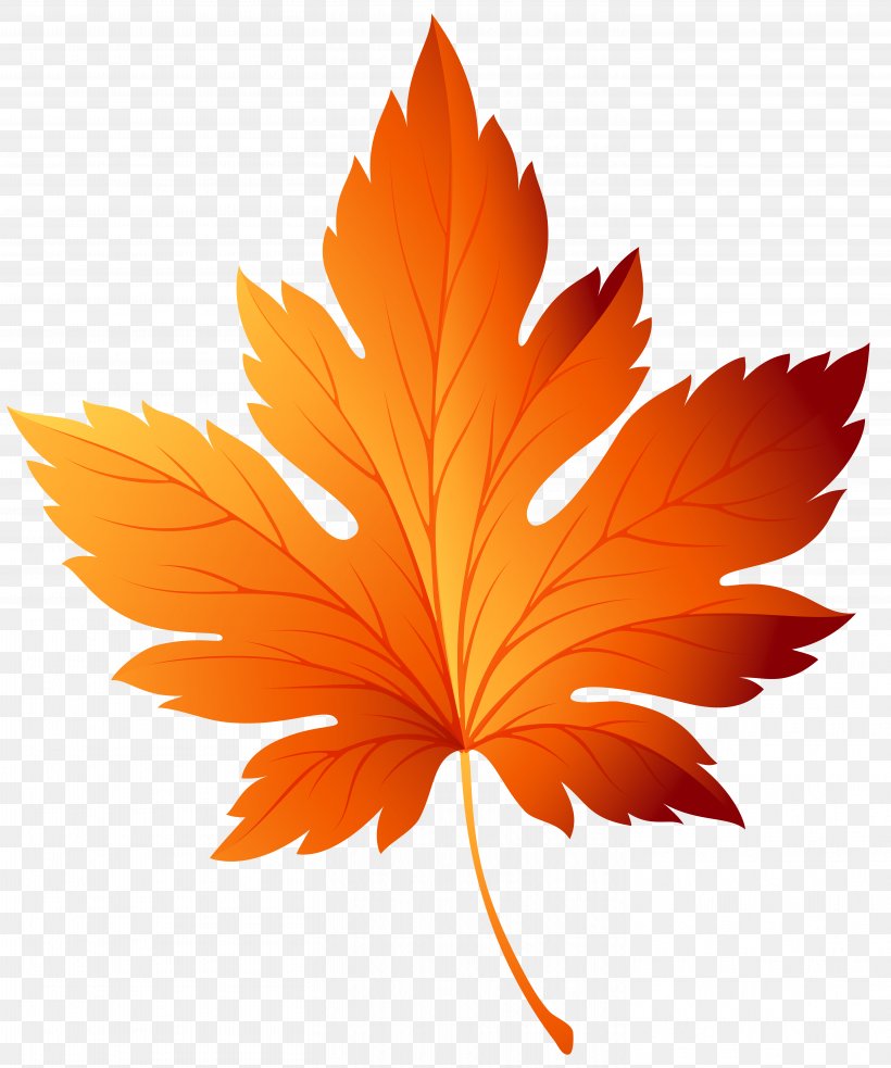 Autumn Leaf Color Clip Art, PNG, 5839x7000px, Autumn Leaf Color, Autumn, Color, Flowering Plant, Green Download Free