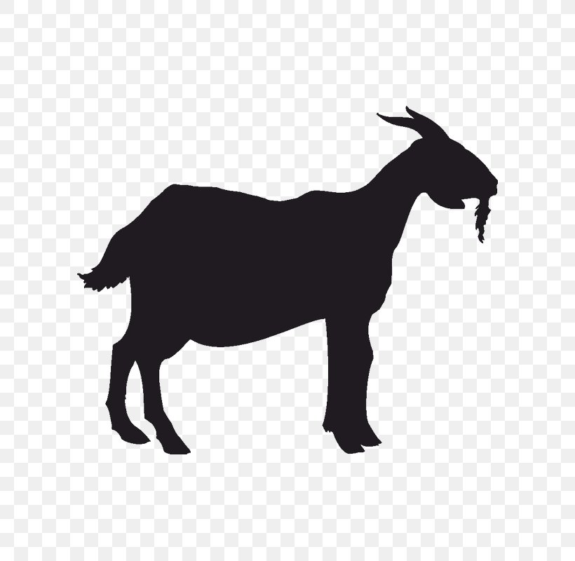 Boer Goat Anglo-Nubian Goat Pygmy Goat Silhouette, PNG, 800x800px, Boer Goat, Anglonubian Goat, Black And White, Cattle, Cattle Like Mammal Download Free