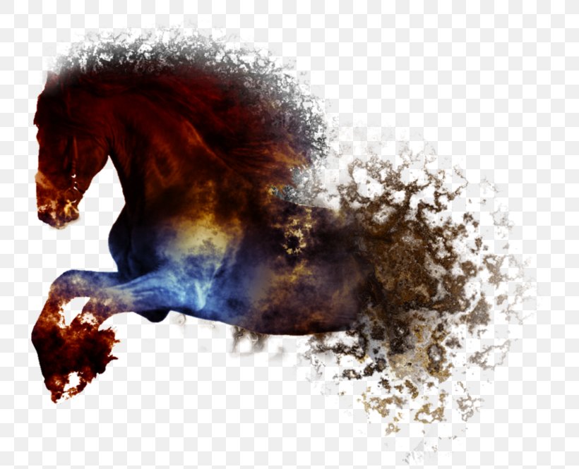 Hanoverian Horse Mustang Stallion Dressage Snout, PNG, 800x665px, Hanoverian Horse, Dressage, Game, Hashtag, Horse Download Free