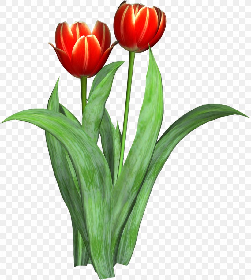 Tulip Cut Flowers Clip Art, PNG, 1146x1280px, Tulip, Cut Flowers, Floristry, Flower, Flowering Plant Download Free