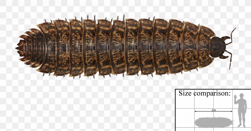 Arthropleura Archelon Carboniferous Length Millipede, PNG, 3746x1951px, Arthropleura, Archelon, Arthropod, Carboniferous, Centimeter Download Free