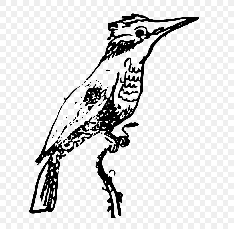 Beak Belted Kingfisher Bird Clip Art, PNG, 658x800px, Beak, Art, Artwork, Belted Kingfisher, Bird Download Free