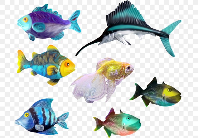Sea Fish Marine Biology Clip Art, PNG, 699x570px, Sea, Animal Figure, Aquarium Decor, Coral Reef, Coral Reef Fish Download Free