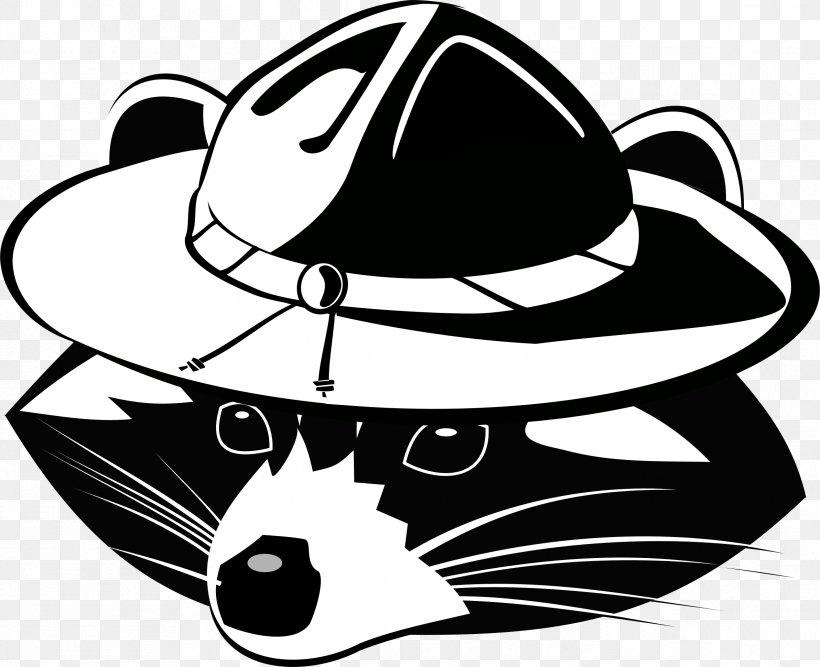 Whiskers Clip Art Raccoon Cat Illustration, PNG, 2384x1940px, Whiskers, Art, Artwork, Black, Black And White Download Free