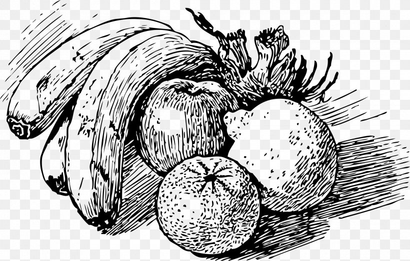 Drawing Fruit Line Art, PNG, 2400x1532px, Drawing, Art, Artwork, Black And White, Branch Download Free