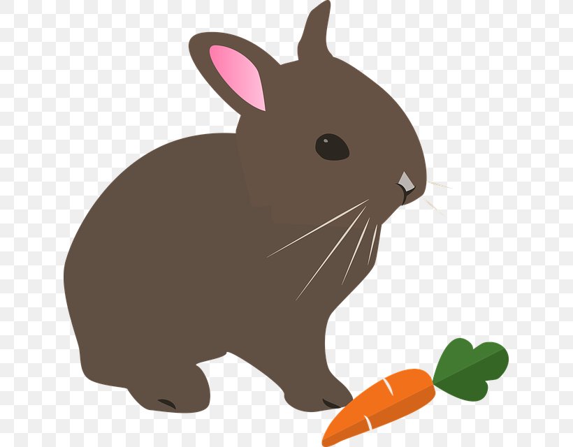 Hare Rabbit Clip Art, PNG, 637x640px, Hare, Blog, Domestic Rabbit, Easter, Easter Bunny Download Free